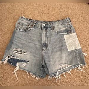 American Eagle Pride Denim Shorts